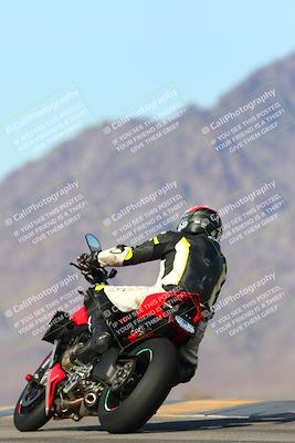 media/Jan-13-2024-SoCal Trackdays (Sat) [[9c032fe5aa]]/Turn 9 Backside (110pm)/